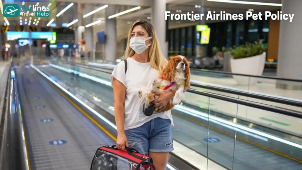 Frontier Airlines Pet Policy